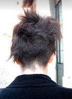 cieniowane fryzury krótkie - uczesanie damskie z włosów krótkich cieniowanych zdjęcie numer 192A